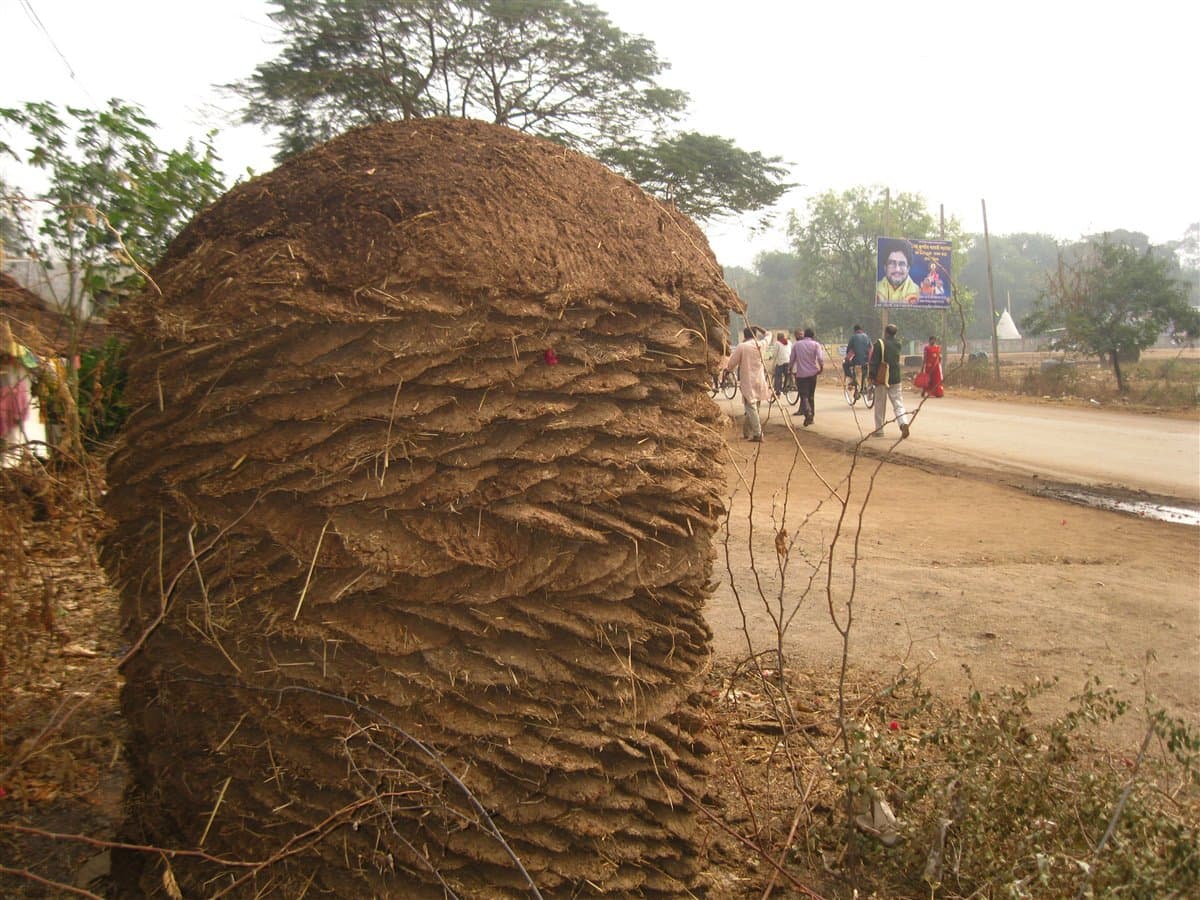 Dried Cow Dung Cakes